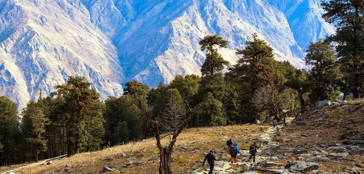 Kauri Pass Trek from Auli Tapovan